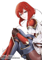 minerva (fire emblem) from fire emblem