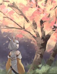 nia (xenoblade) from xenoblade chronicles (series)