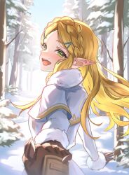 link from the legend of zelda