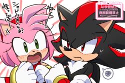 amy rose from sonic (series) by koke ojisan