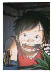 monkey d. luffy from one piece