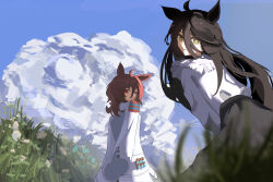 agnes tachyon (umamusume) from umamusume