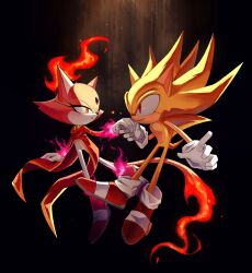 blaze the cat from sonic (series)