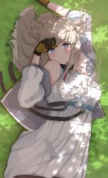perlica (arknights) from arknights
