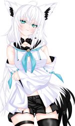 shirakami fubuki from hololive by reddo9
