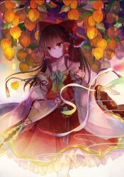 hakurei reimu from touhou by kazu (muchuukai)