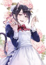 hinamori momo from bleach