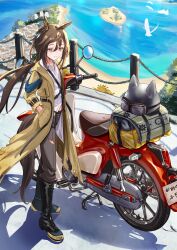 stay gold (sunlit outsider) (umamusume) from umamusume