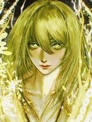 fate/strange fake fan art