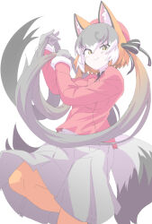 island fox (kemono friends) from kemono friends