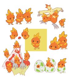 blaziken from pokemon