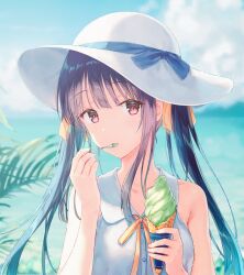 melonbooks fan art