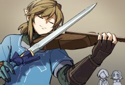 link from the legend of zelda