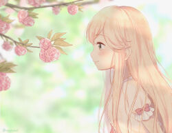 yumesaki haruko from girlfriend (kari)