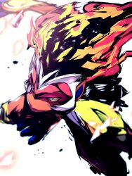 infernape from pokemon