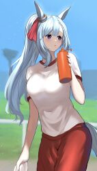 mejiro ardan (umamusume) from umamusume