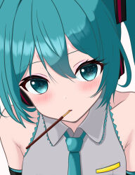 hatsune miku from vocaloid
