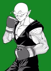 piccolo from dragon ball by lee (dragon garou)