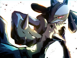 lucario from pokemon
