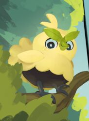 browt from pokemon