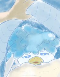 quaxly from pokemon