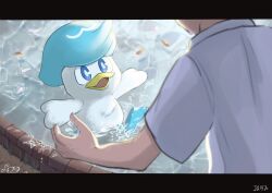 quaxly from pokemon