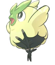browt from pokemon
