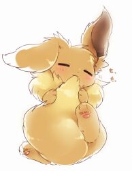 eevee from pokemon