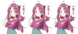 kobayashi mikuru from meitantei precure!