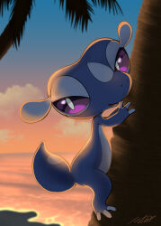 gecqua from pokemon