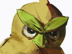 browt from pokemon by hyde (tabakko)
