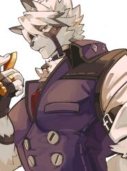 von lycaon from zenless zone zero