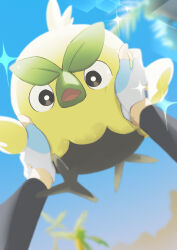 browt from pokemon
