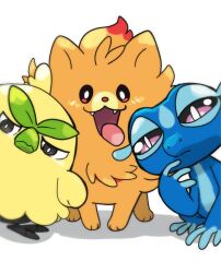 browt from pokemon ww