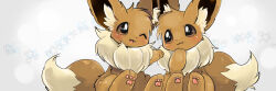 eevee from pokemon