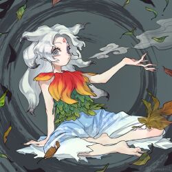 houjuu chimi from touhou