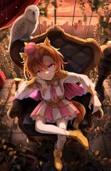 t.m. opera o (umamusume) from umamusume