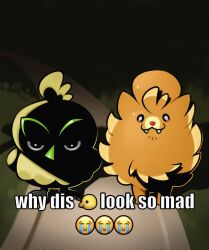 browt from pokemon