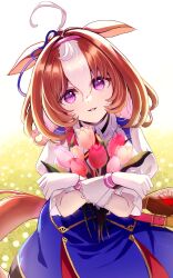 meisho doto (umamusume) from umamusume