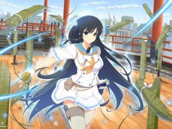 ikaruga (senran kagura) from senran kagura