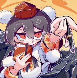 shameimaru aya from touhou