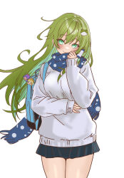 kochiya sanae from touhou