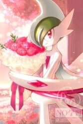 gallade from pokemon