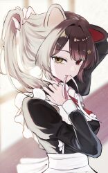 inui toko from nijisanji