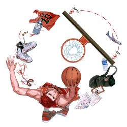 sakuragi hanamichi from slam dunk (series)