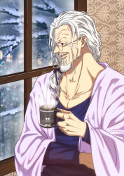 silvers rayleigh from one piece by musasabiop