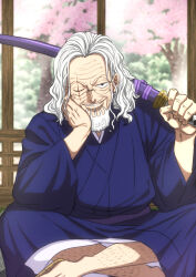 silvers rayleigh from one piece by musasabiop