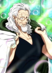silvers rayleigh from one piece by musasabiop