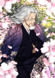 silvers rayleigh from one piece by musasabiop