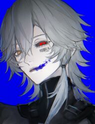 punishing: gray raven fan art